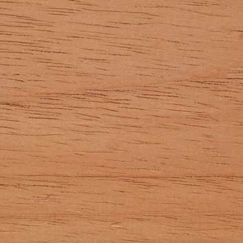 Propiedades físicas de la madera Sterculia striata